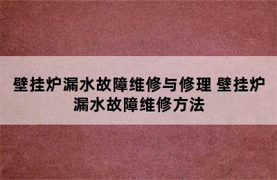 壁挂炉漏水故障维修与修理 壁挂炉漏水故障维修方法